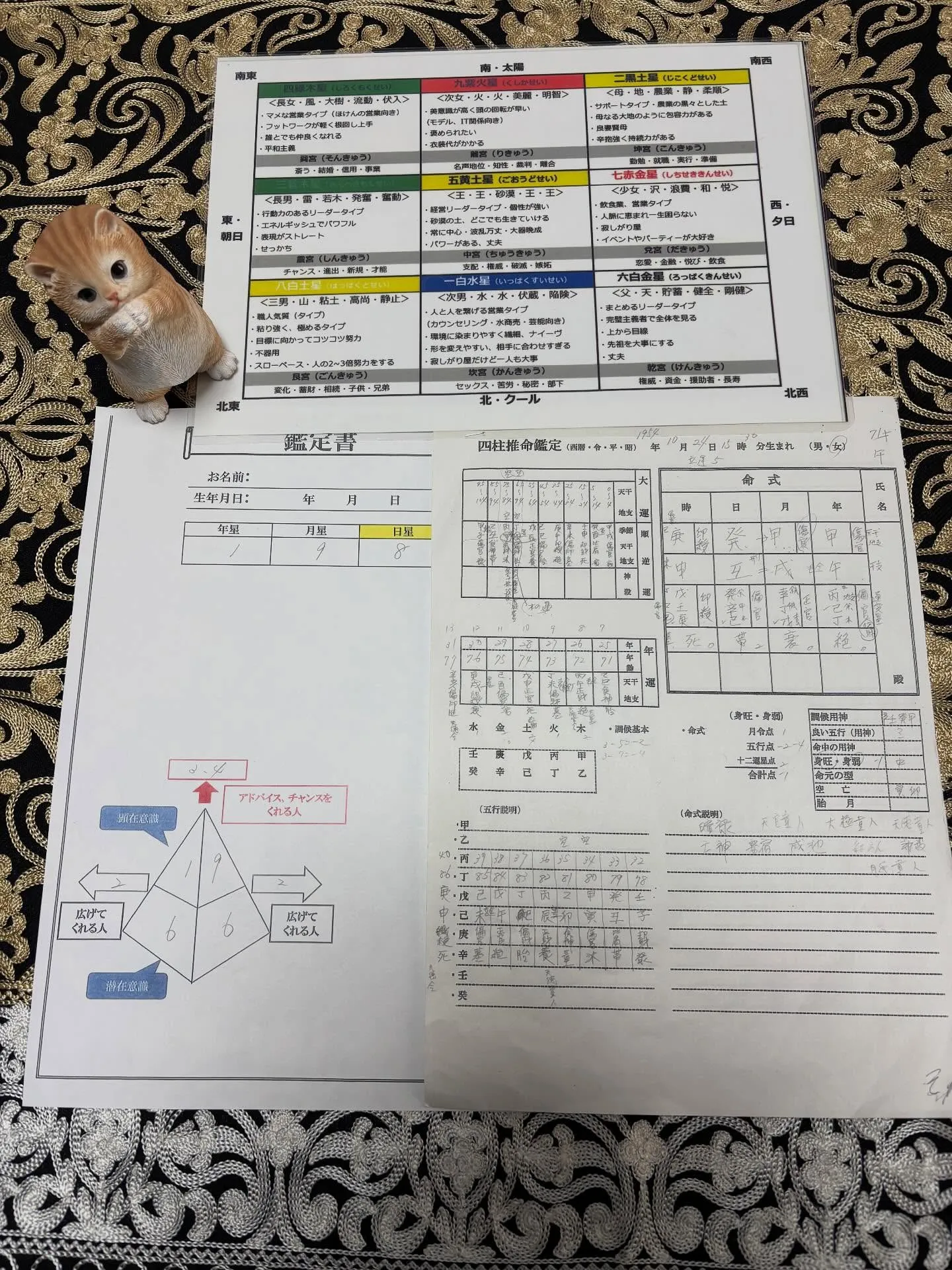 今日は素晴らしい天気ですね🌞 3月1日がやってきて、今年も「...